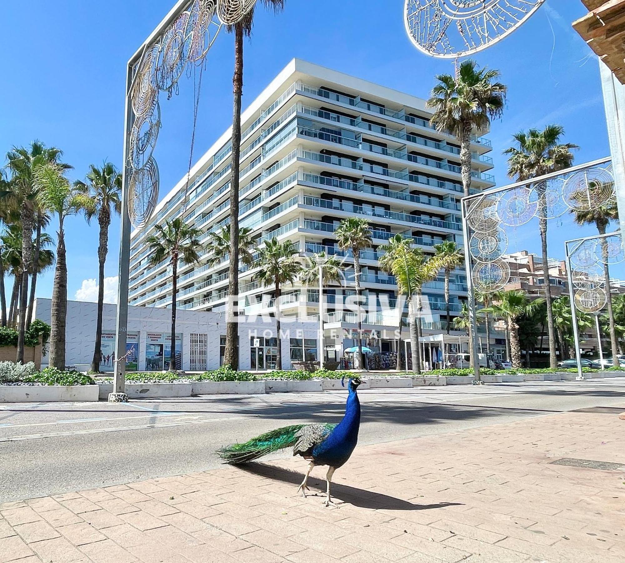 Apartamento Albamarina, 1ªlinea, Magic World, Vistas Al Mar! Oropesa del Mar Dış mekan fotoğraf